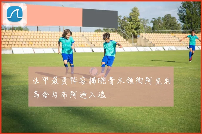 法甲最贵阵容揭晓青木领衔阿克利乌舍与布阿迪入选
